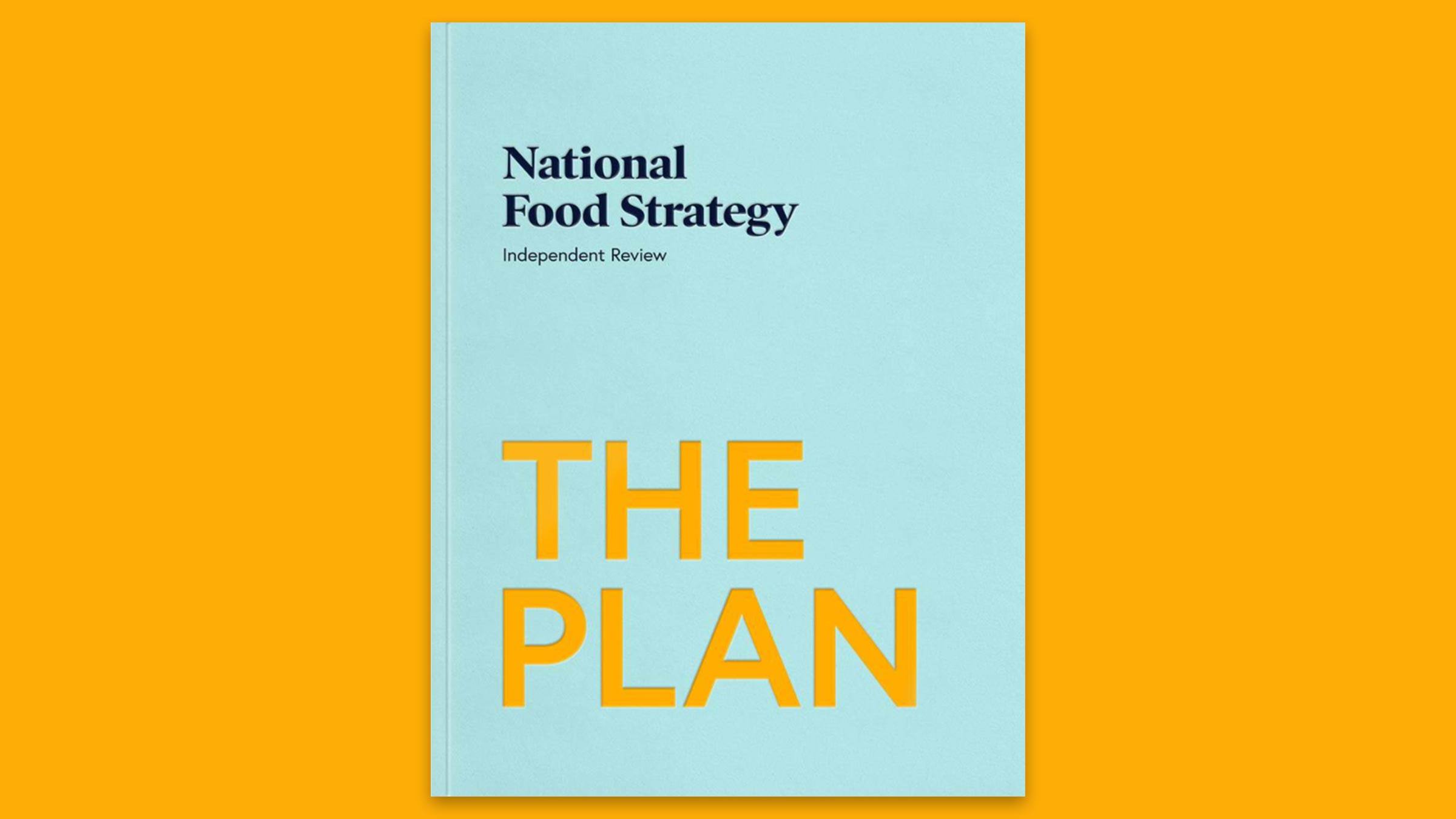 Latest National Food Strategy report, The Plan