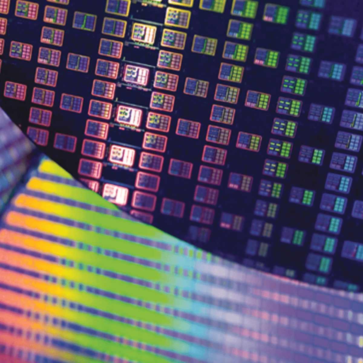 A close up image of a sheet of microchips