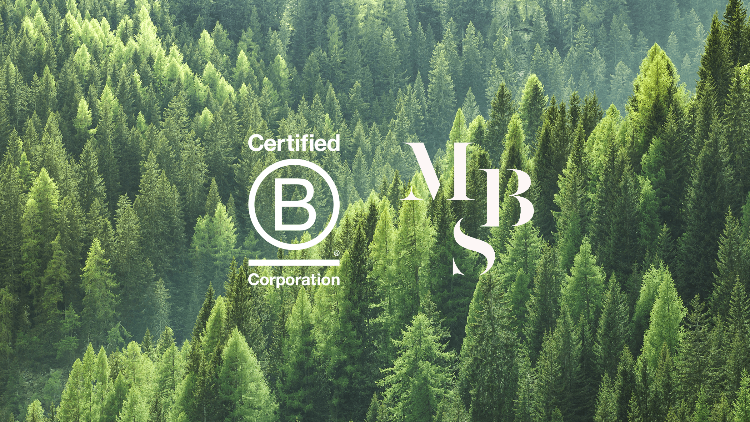 images of the mbs logo and b corp logo in front of a pine forest