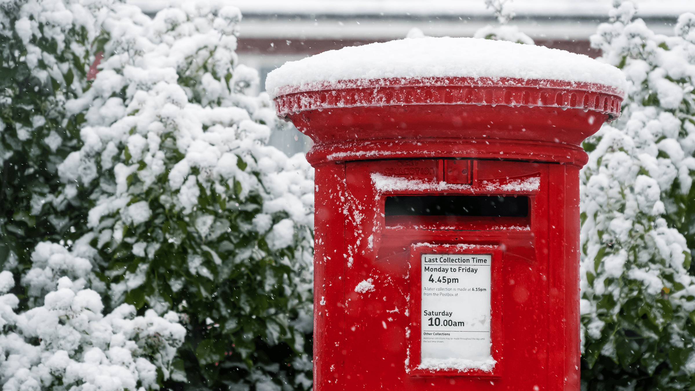 A red postbox with snow on top. A green bush sits behind with snow on the leaves.